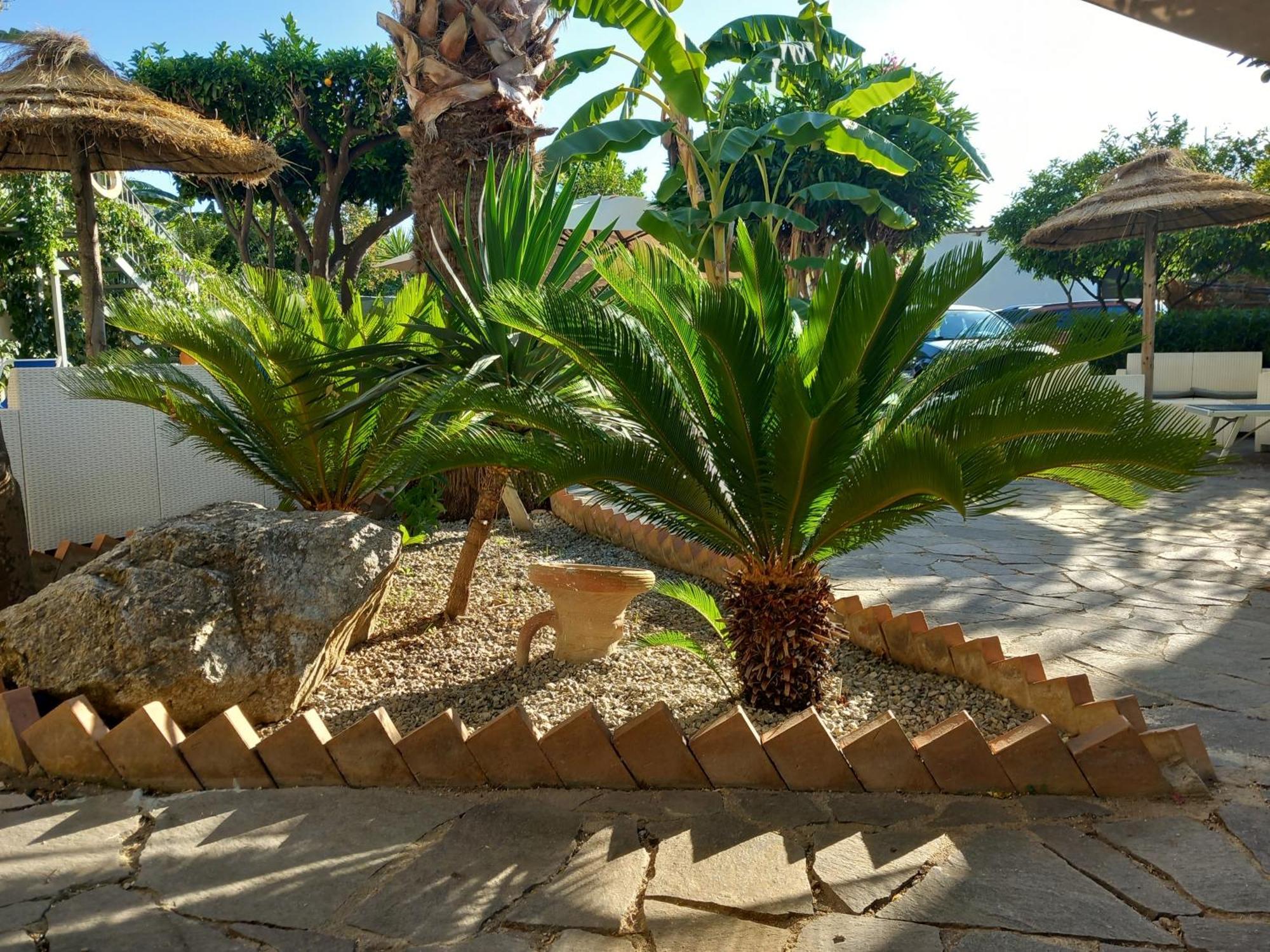 Appartamenti Tropea Gargano Parghelia Εξωτερικό φωτογραφία